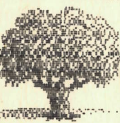 fa rajza
